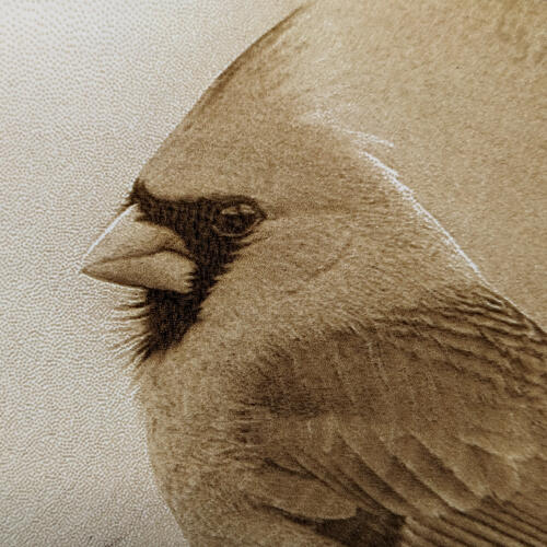Detailed view
